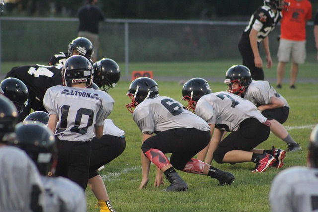 一种更为谨 一种更为谨