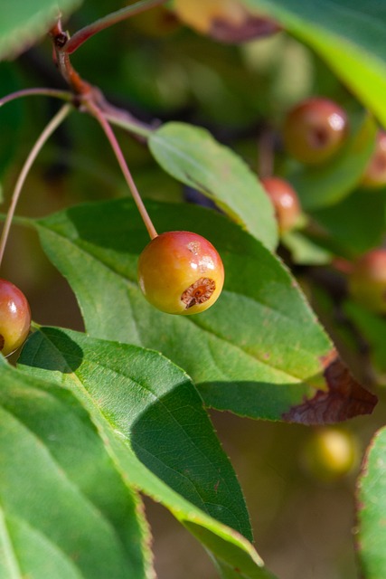 的商业和竞 的商业和竞
