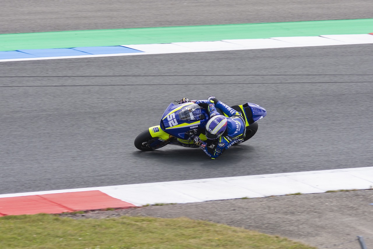 战将成为她 战将成为她