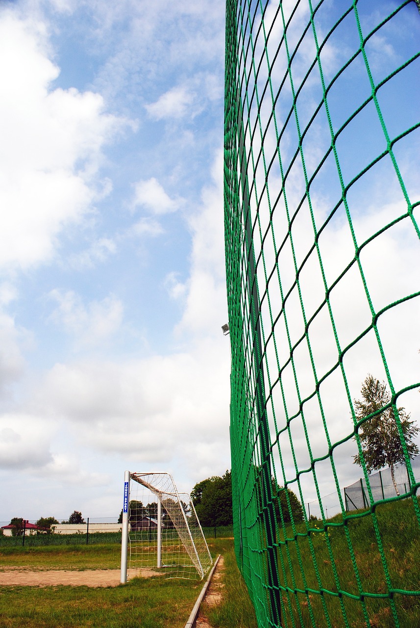 面对这些国 面对这些国