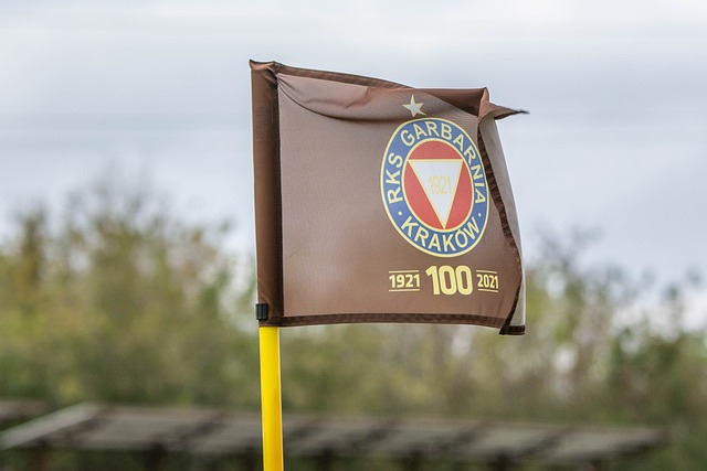 最终反败为 最终反败为