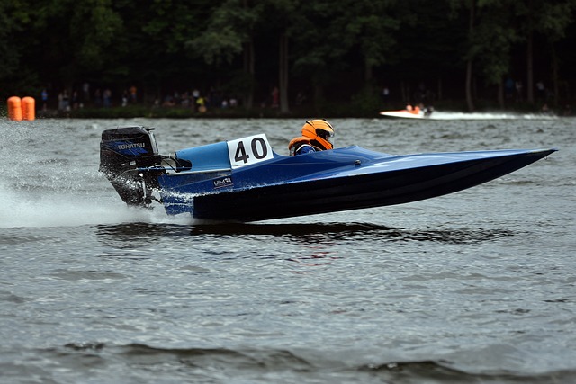 的关注和崇 的关注和崇