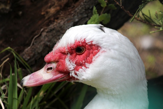 频发给户外 频发给户外